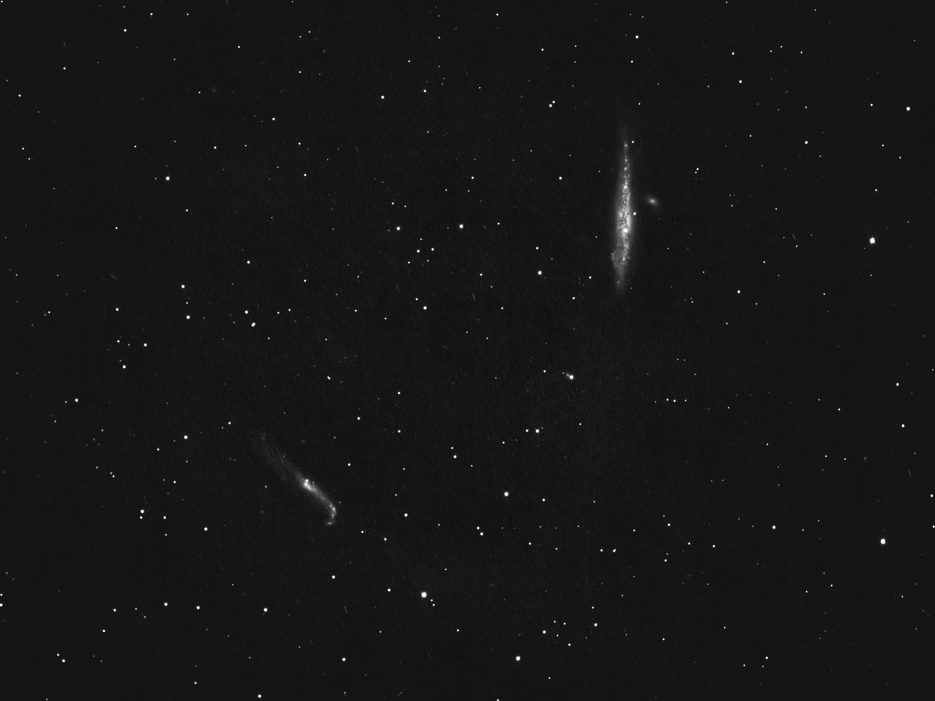 Galaxy NGC 4656-4631-4627